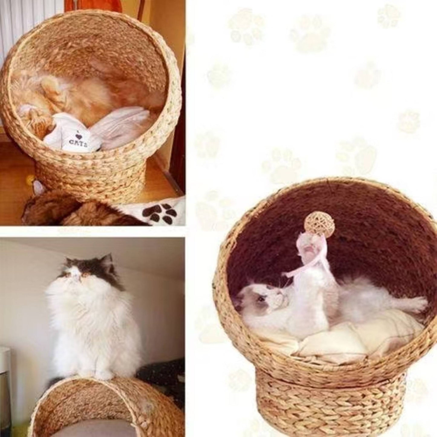 天然バナナリーフ製 猫用ベッド